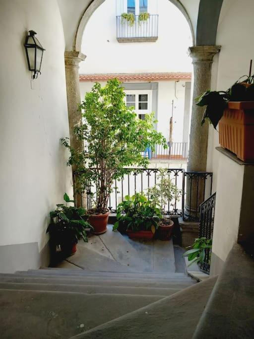 Nilo 28 House Apartment Napoli Ngoại thất bức ảnh